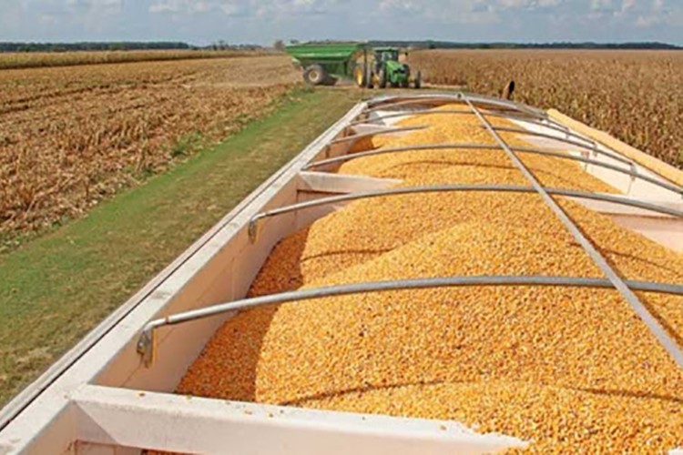 Tarım ürünlerinde gümrük düzenlemesi yapıldı