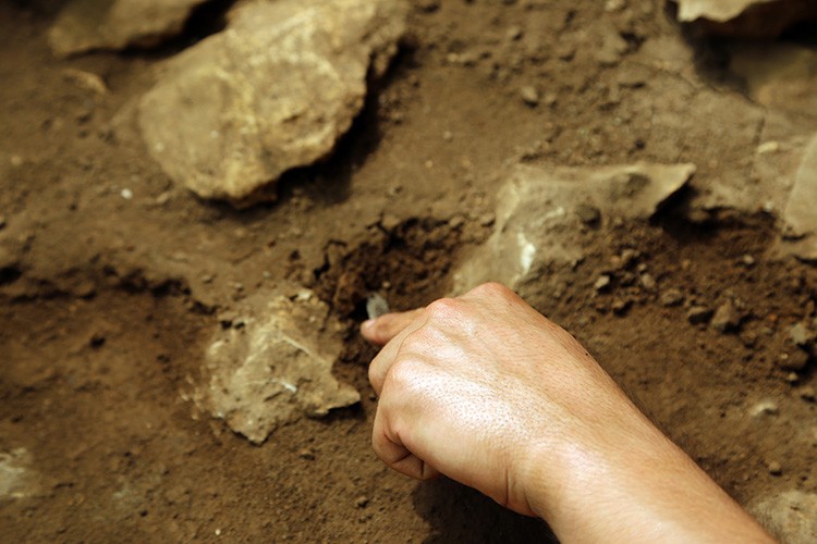 14 bin 500 yıllık tarım aletleri gün ışığına çıkarıldı