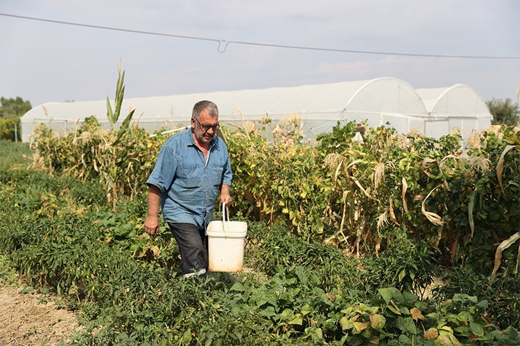 Doğal üretimle geçinen çift bahçesini geliştirdi