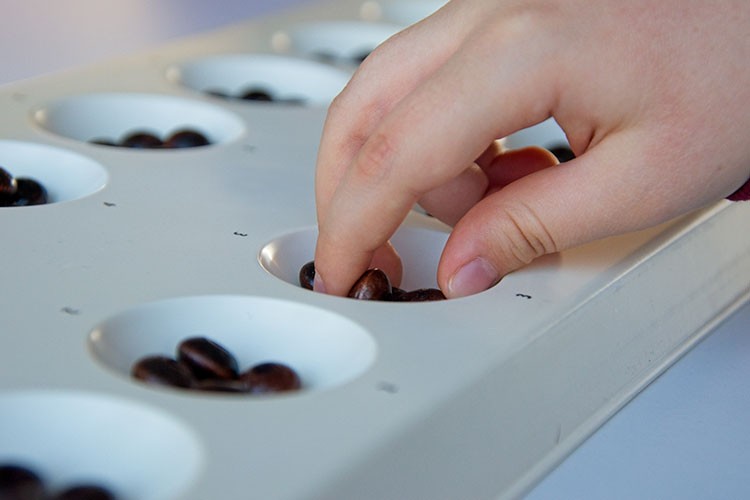 Zeka, strateji ve ilham tek çatı altında