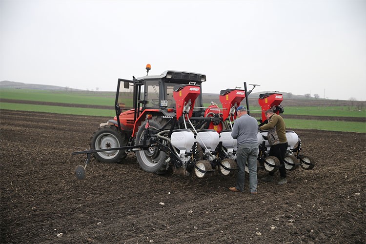 Edirne'de ayçiçeği üreticilerine "erken ekim" önerisi
