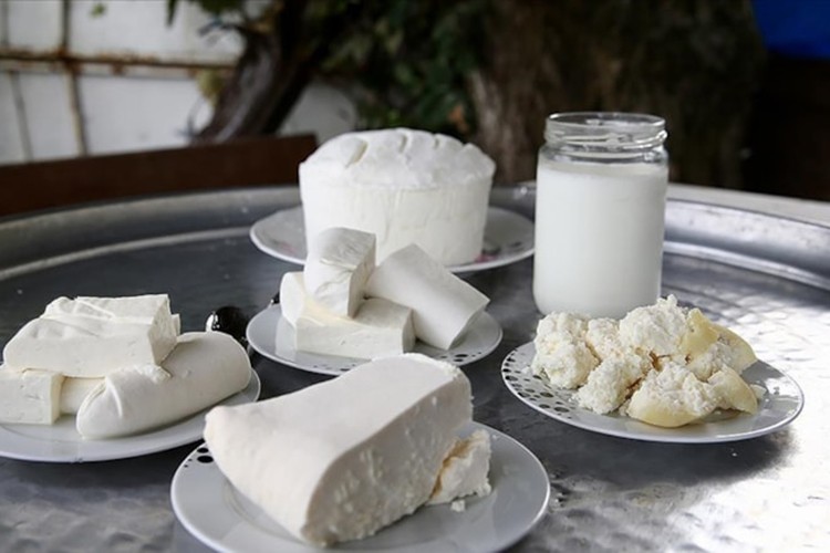 Türkiye'de katma değerli süt ürünlerinin payı artıyor