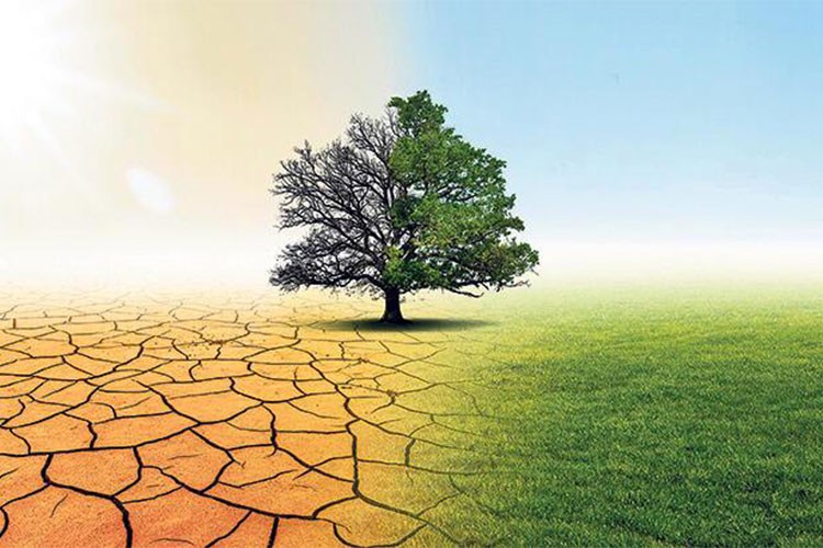 Petrol devlerinden i500 milyon dolarlık iklim desteği