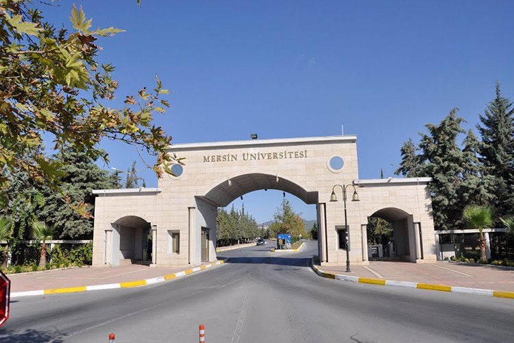 Akademisyen alınacak