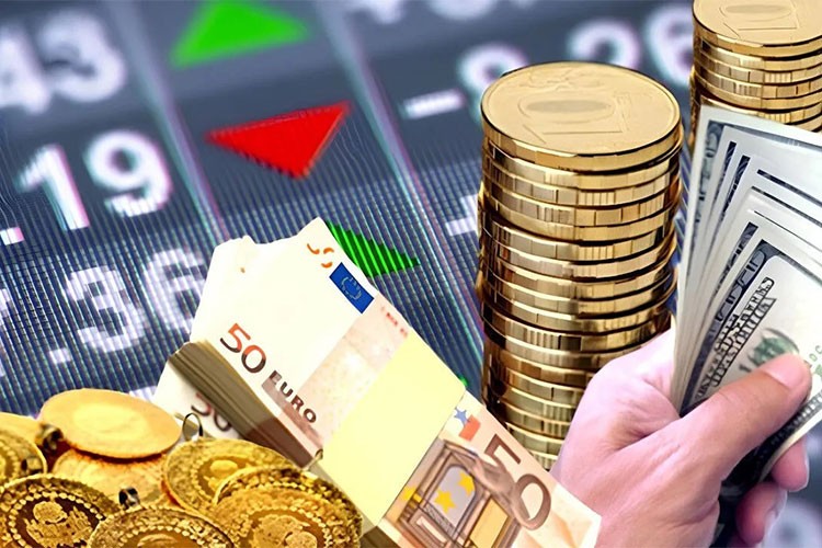 Bu hafta altın ve dolar kazandırdı.