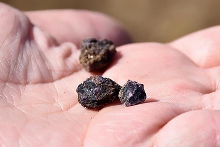 "Yeşil enerji dönüşümü riske girebilir"