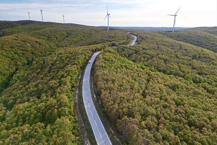 Tekirdağ'da ormanlarda sonbahar renkleri hakim oldu