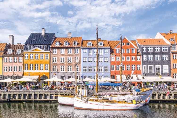 Kralın gül bahçesinde