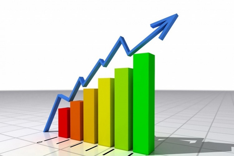 1. Çeyrek Büyüme Beklenti Anketi sonuçlandı