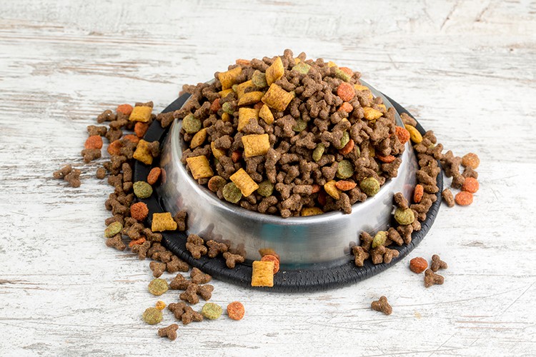 Can dostların mamaları Türkiye'de üretiliyor