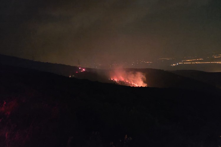 Hatay'da çıkan orman yangını söndürüldü