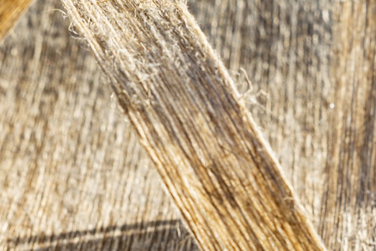 Kordsa, BPREG yatırımıyla ileri malzemedeki gücünü biyokompozite taşıyor