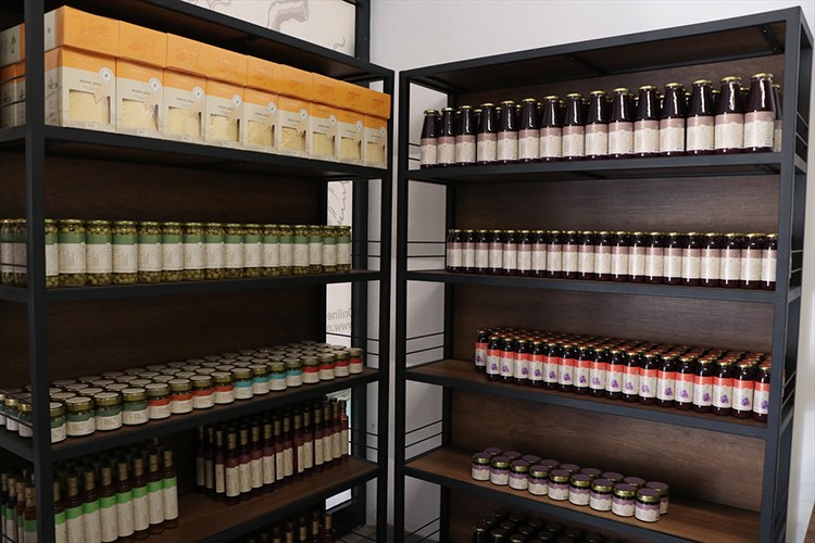 Karadeniz'e özgü "kokulu üzümü" ülkeye tanıtıyor