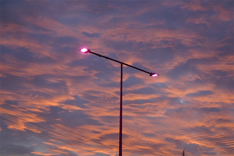 Sokak lambalarını pembe renkte yaktı