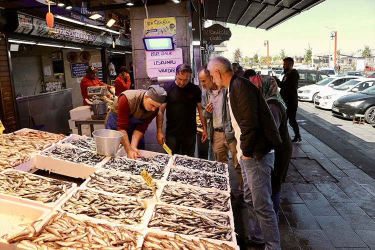 Trabzon'da hamsinin kilogramı 150 liradan satılıyor