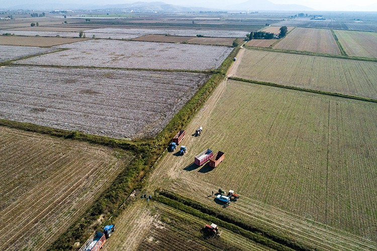Yüksek verim bekleniyor