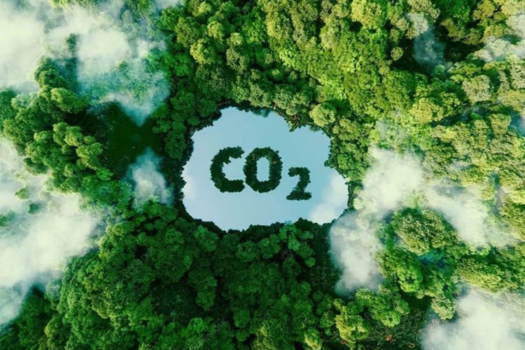 Karbon emisyonlarında ürkütücü tablo