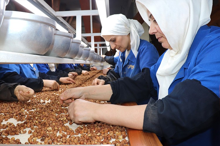 Kadın çalışanlar en çok fındık ihracatına katkı sağladı