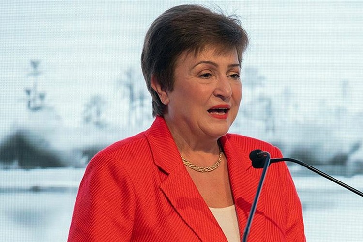 "Sağlam karbon fiyatlandırması gerekli"