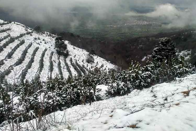 Tokat'ta kar yağışı etkili oldu