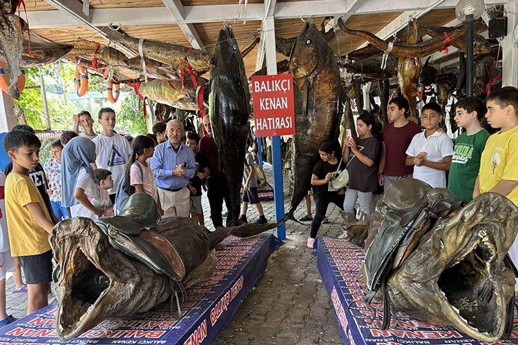 Öğrenciler denizi. ve balığı öğrendi