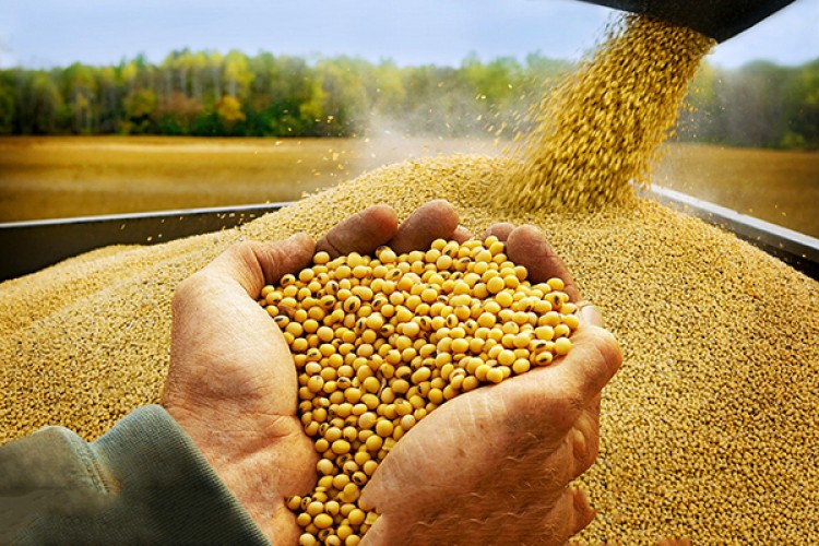 Hedef gıdada fiyat istikrarı!