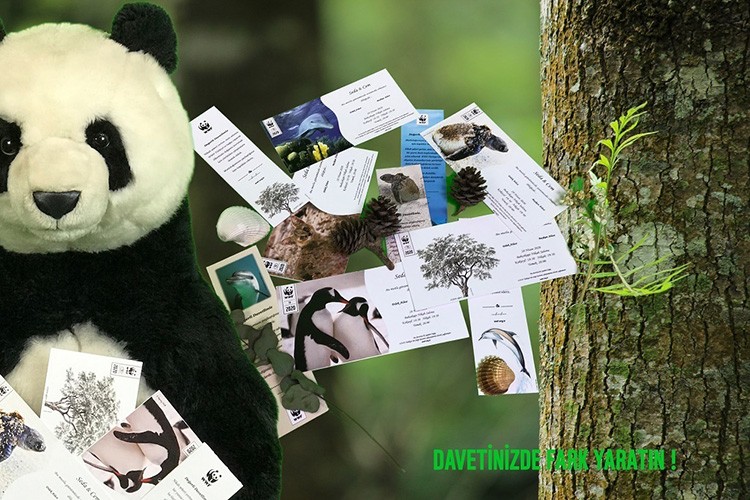 "Mahalle Afet Risk ve Kaynak Çalışmaları Projesi" hayata geçiriliyor