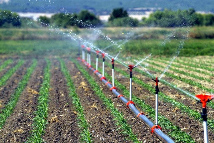 Borcunu ödemeyen tarımsal sulama abonelerinin elektriğinin kesileceğini bildirdi