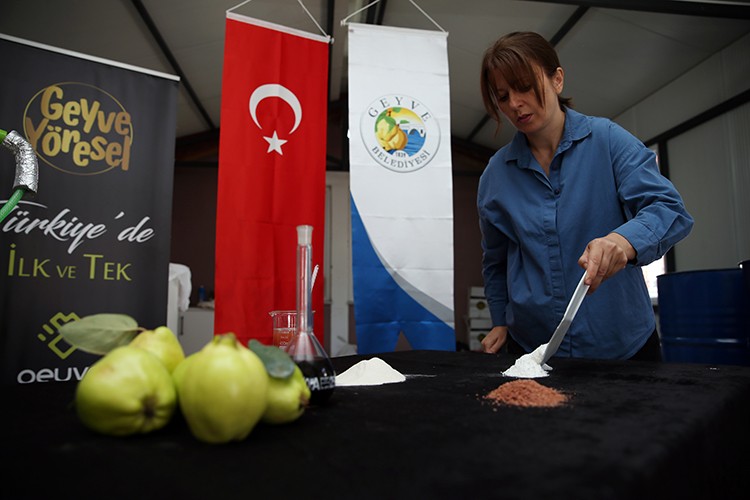 Atık ayvadan pektin, selüloz ve hemiselüloz üretiliyor