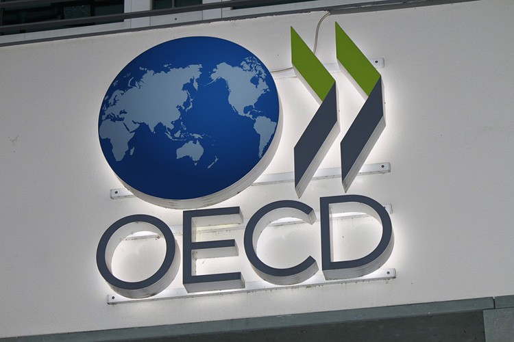 OECD, Türkiye'nin 2023 büyüme tahminini düşürdü