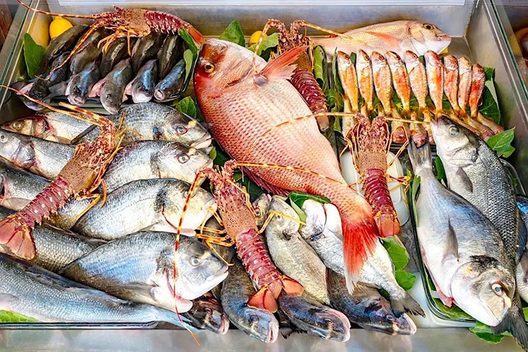 Su Ürünleri Tescil Komitesi, 7 balık türünü tescilledi