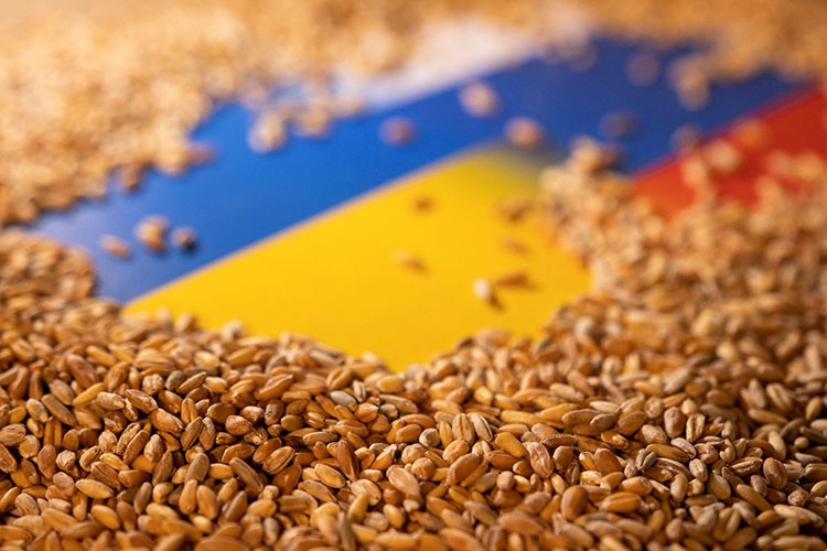 AB, Ukrayna'dan tahıl alımını kısıtlı tutuyor