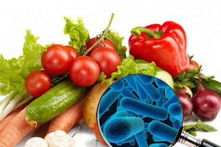 Gıda güvenliği için acil eylem çağrısı