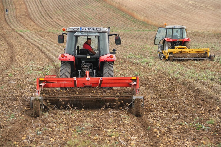Kayseri patatesinin ekim alanı yüzde 38 arttı