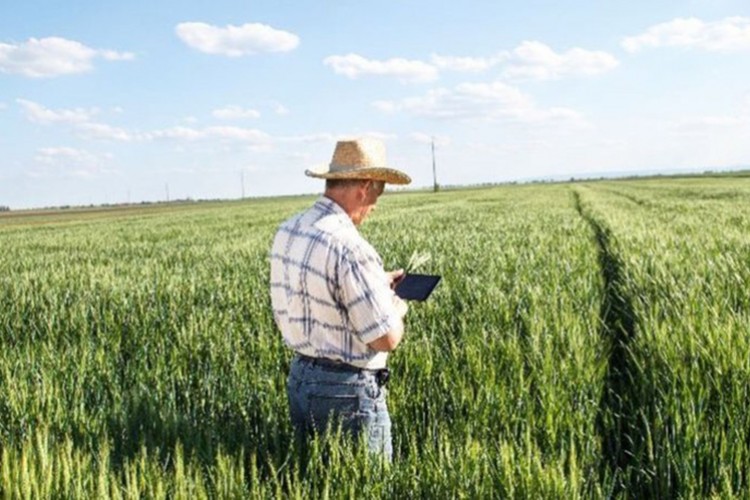 Tarım sigorta fiyatlarında indirim yapıldı