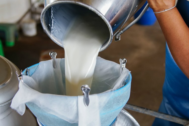 Türkiye'de 2022'de 21,6 milyon ton çiğ süt üretildi