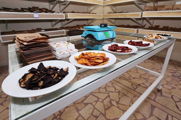 10 bin ton kurutulmuş meyve ve sebze üretimi hedefleniyor