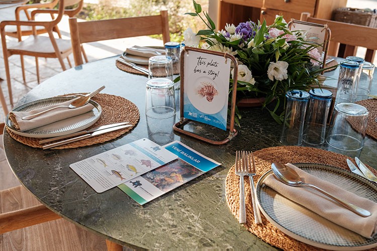 Bodrum'da Yeni Balıklar Tadım Etkinliği