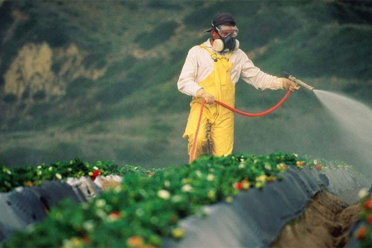 Türkiye, tarımda AB ülkelerinden daha az pestisit kullanıyor