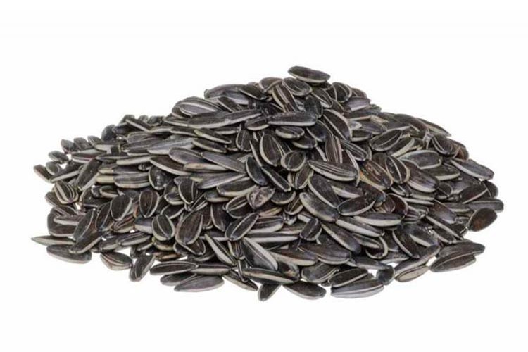 Ayçiçek'te gümrük yüzde 3'e indi