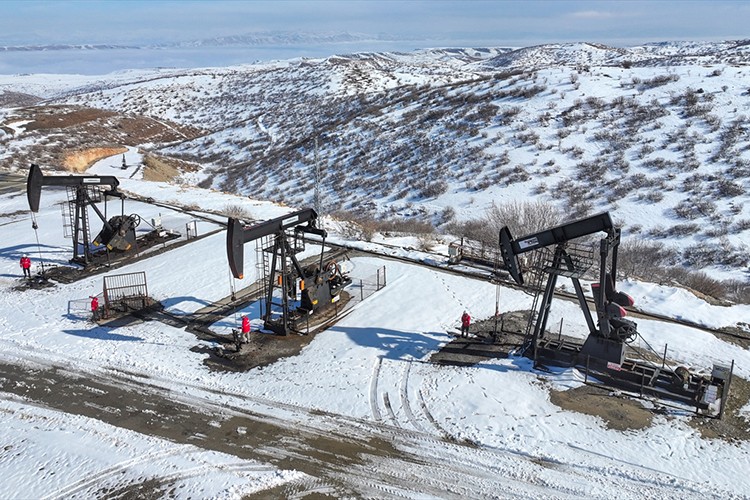 4 il Türkiye'nin ham petrol üretiminin yüzde 28'ini karşılıyor