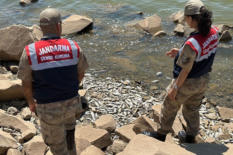 Devegeçidi Gölü'nde balık ölümleriyle ilgili inceleme başlatıldı