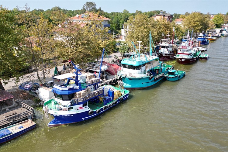 Sakarya'da balıkçılar "vira bismillah" demeyi bekliyor
