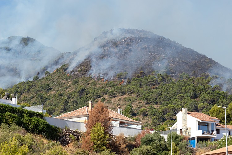 Yazlıkçımladın yüreği ağzında