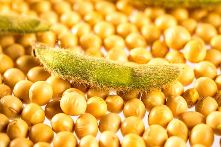 ABD-Çin ticari gerilimine soya fasulyesi de eklendi