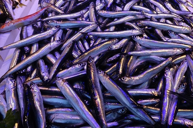 2 ayda 1.8 milyon dolar kazanç