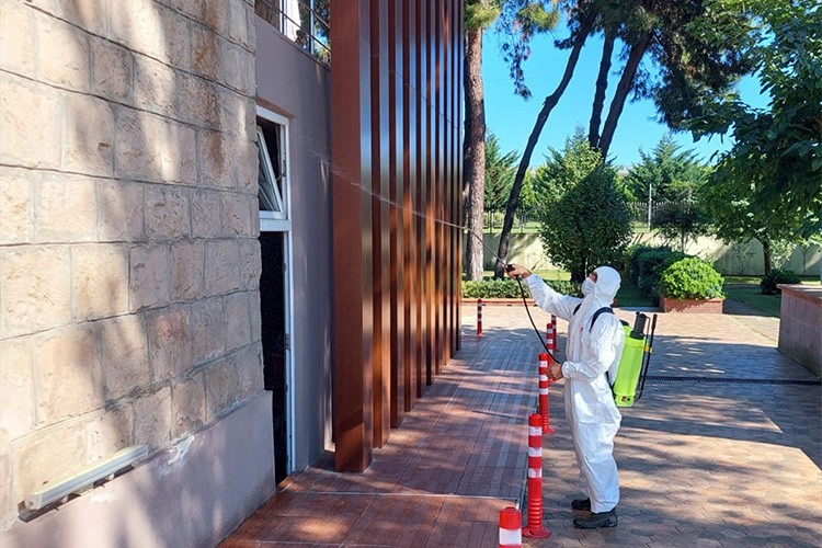 Kahverengi kokarcaya karşı mücadele sürüyor