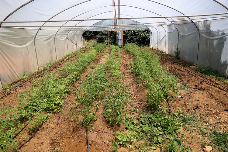 Çevreci uygulamaları hayata geçiriyorlar