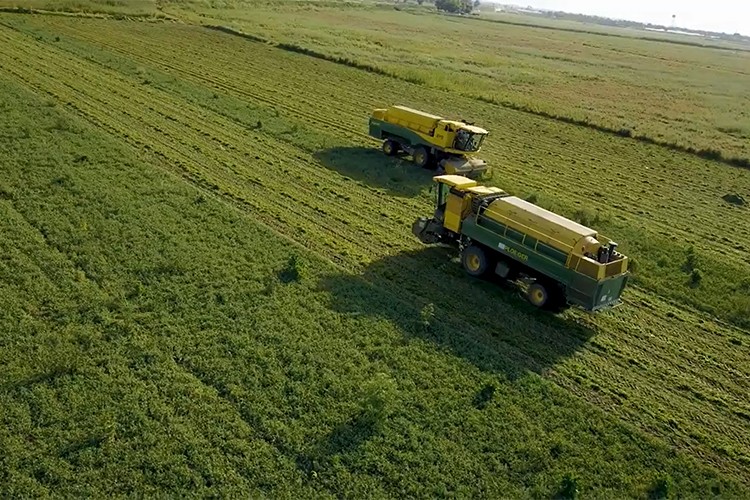 Toprağın bereketi SuperFresh'in 'hasat'ıyla sofralarda