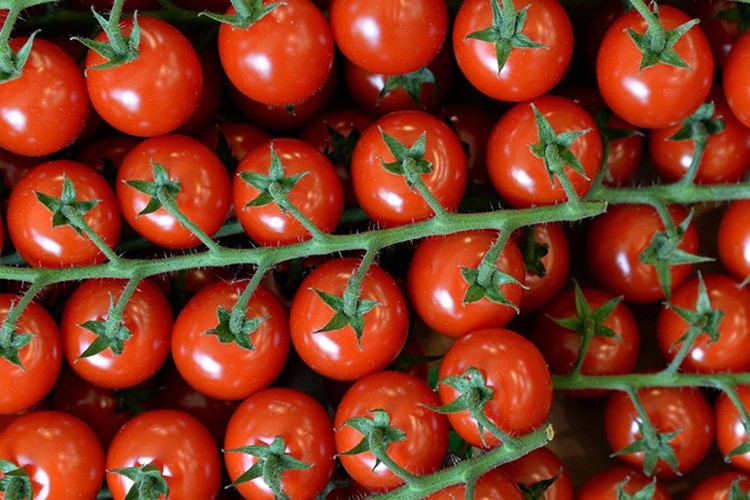 Kasımda en çok domatesin fiyatı arttı